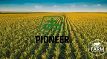 PIONEERSEEDS